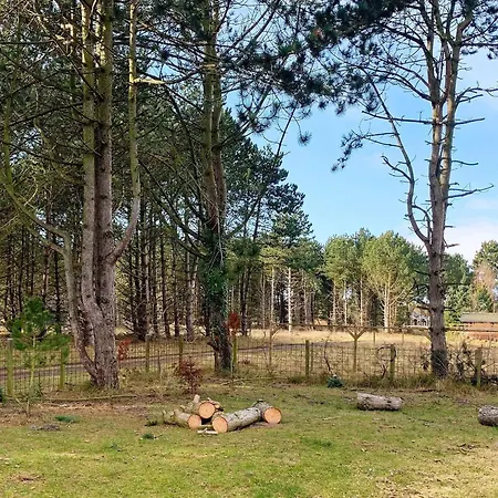 8 Person In Rodby-by Traum * Rødby